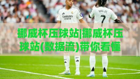 挪威杯压球站|挪威杯压球站(数据流)带你看懂北欧足球的另一种打开方式-今日最新外围压球站链接受让视频半全场动画水位