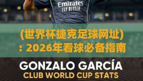 (世界杯捷克足球网址): 2026年看球必备指南 世界杯捷克足球网址