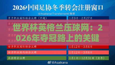 世界杯英格兰压球网:2026年夺冠路上的关键数据解析 世界杯英格兰压球网:2026年夺冠路上的关键数据解析