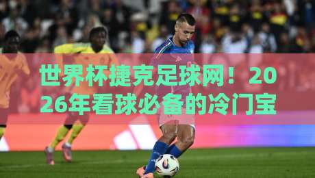 世界杯捷克足球网！2026年看球必备的冷门宝藏平台