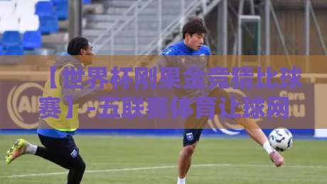 【世界杯刚果金竞猜比球赛】-五联赛体育让球网：2026年非洲足球新风口，你细品