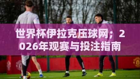 世界杯伊拉克压球网；2026年观赛与投注指南（世界杯伊拉克压球网）