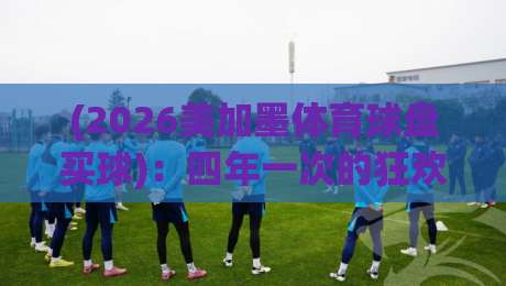 (2026美加墨体育球盘买球):四年一次的狂欢,你的钱包准备好了吗? (2026美加墨体育球盘买球):四年一次的狂欢,你的钱包准备好了吗?