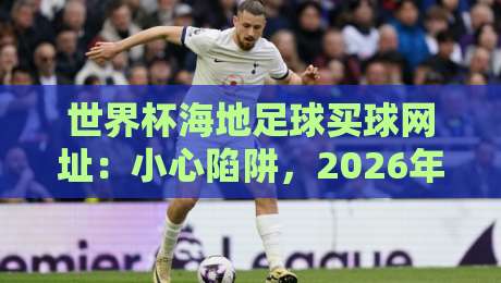 世界杯海地足球买球网址：小心陷阱，2026年球迷必读的避坑指南