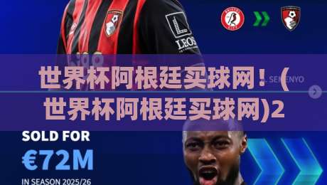 世界杯阿根廷买球网！(世界杯阿根廷买球网)2026年球迷必知的实战指南