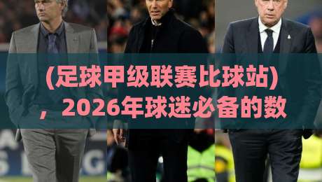 (足球甲级联赛比球站)，2026年球迷必备的数据分析平台