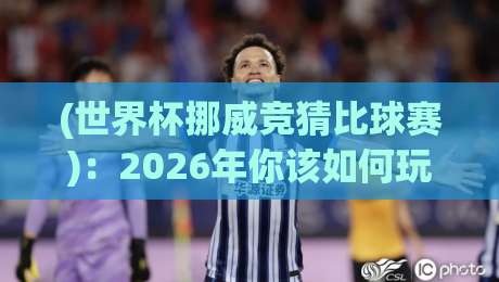 (世界杯挪威竞猜比球赛)：2026年你该如何玩转北欧黑马？