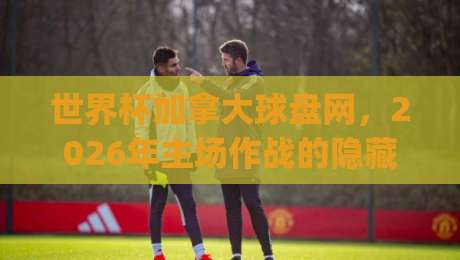 世界杯加拿大球盘网，2026年主场作战的隐藏玩法？(世界杯加拿大球盘网)别错过这些数据