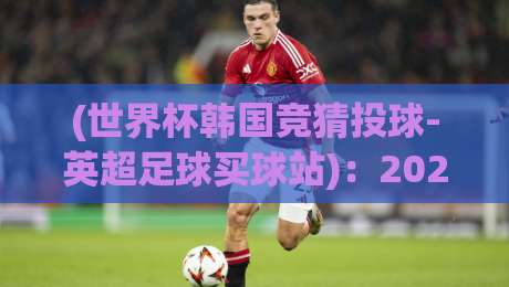 (世界杯韩国竞猜投球-英超足球买球站):2026年最值得关注的三大趋势与避坑指南 (世界杯韩国竞猜投球-英超足球买球站):2026年最值得关注的三大趋势与避坑指南