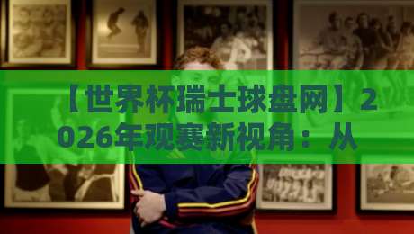 【世界杯瑞士球盘网】2026年观赛新视角：从数据解码到实战心得