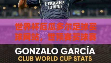 世界杯厄瓜多尔足球买球网站,世预赛买球赛这样选平台才靠谱 世界杯厄瓜多尔足球买球网站,世预赛买球赛这样选平台才靠谱