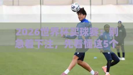2026世界杯买球赛：别急着下注，先看懂这5个隐藏门道