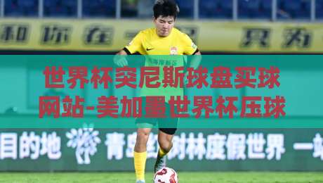 世界杯突尼斯球盘买球网站-美加墨世界杯压球赛：2026年球迷避坑指南