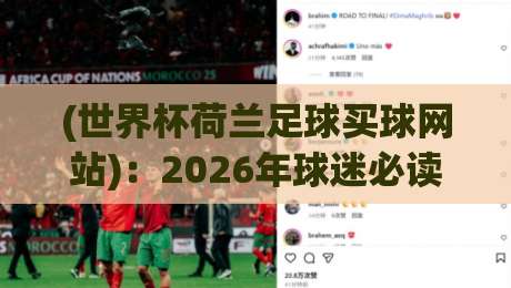 (世界杯荷兰足球买球网站)：2026年球迷必读的购彩平台实操指南
