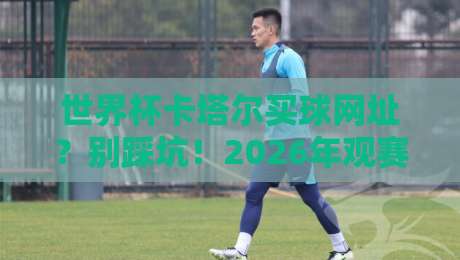世界杯卡塔尔买球网址？别踩坑！2026年观赛指南来了