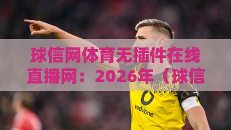 球信网体育无插件在线直播网：2026年（球信网体育无插件在线直播网）老球迷的真实测评与避坑指南