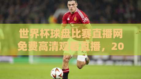 世界杯球盘比赛直播网免费高清观看直播，2026年观赛新选择！