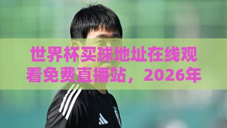 世界杯买球地址在线观看免费直播站,2026年最全观赛指南 世界杯买球地址在线观看免费直播站,2026年最全观赛指南
